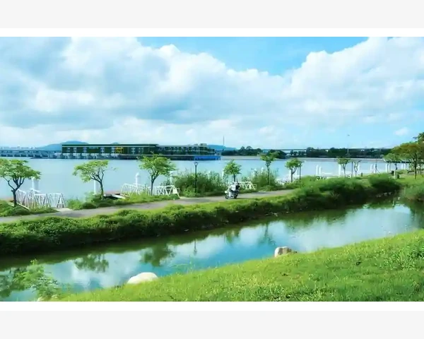 准注册会计师的进阶之路与核心能力锻造