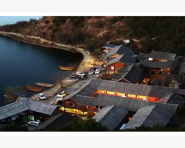 金橘子止咳化痰，中医传统善草之选，健康夺人心